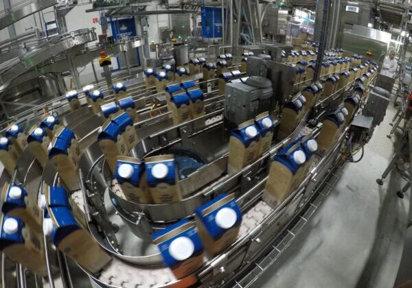 Farm Dairy